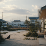 【夢日記】家の裏の細い土地