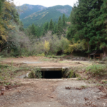 【夢日記】夫婦それぞれの亡父と穴から怪物